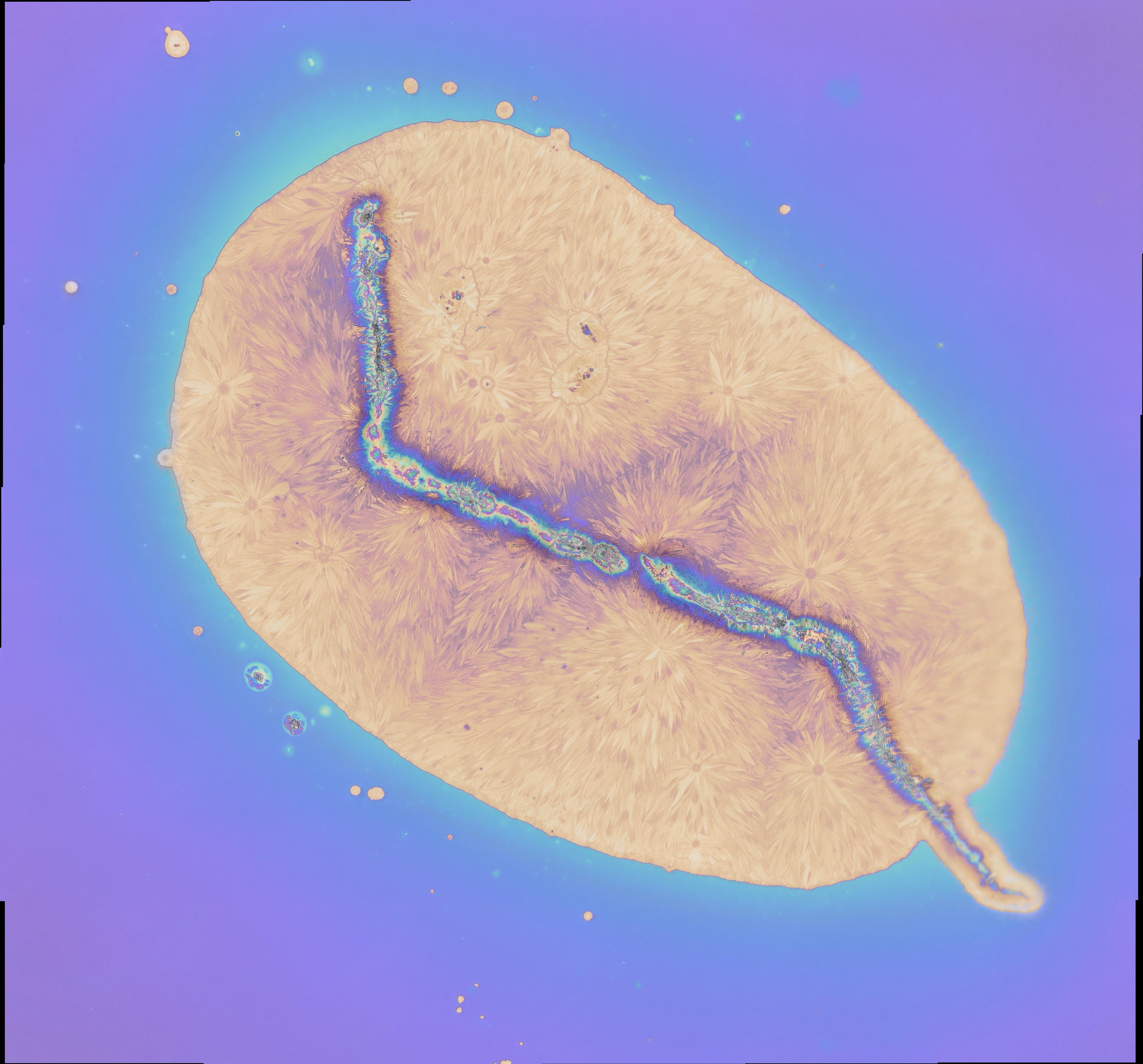 Silicon wafer oxidation
